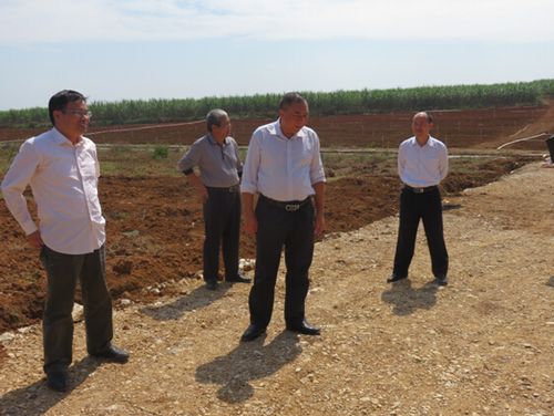 由南寧市農(nóng)業(yè)委員會(huì)副主任顧安家?guī)ьI(lǐng)市農(nóng)委改革科,蔬菜糖料作物科有