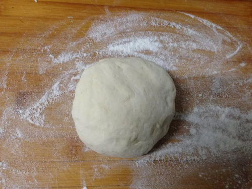 除了巧克力,還有這15種食物千萬(wàn)不要給自己的狗狗吃